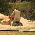 Holz - Kunst Erlebnistag. La Punt