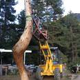 Skulpturen aus Holz - Daniel Cotti, Ramosch